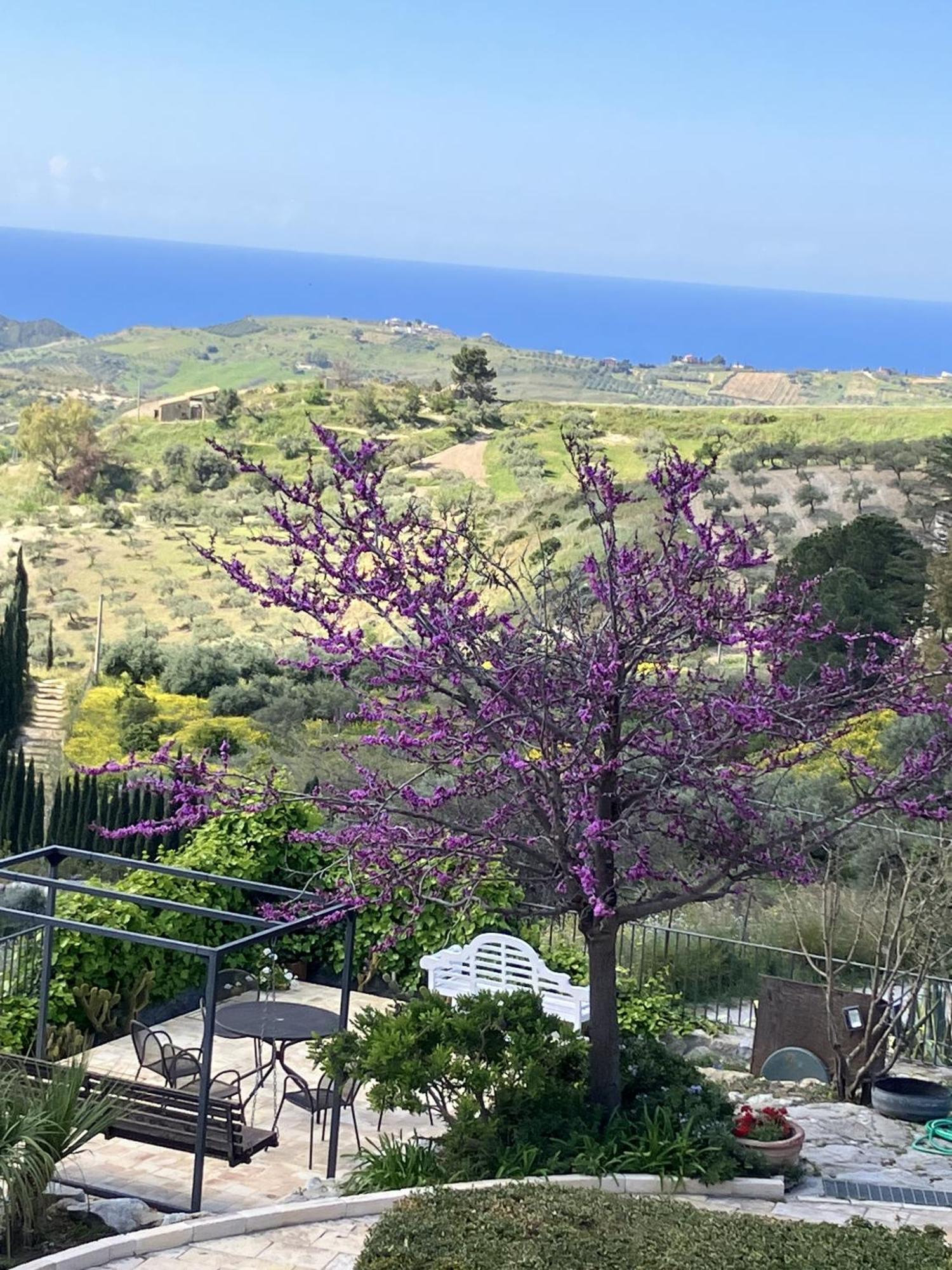 Agriturismo Casa Balata Realmonte Bagian luar foto