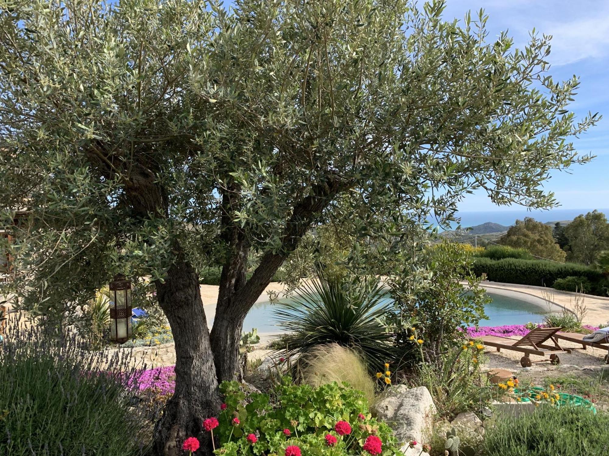 Agriturismo Casa Balata Realmonte Bagian luar foto