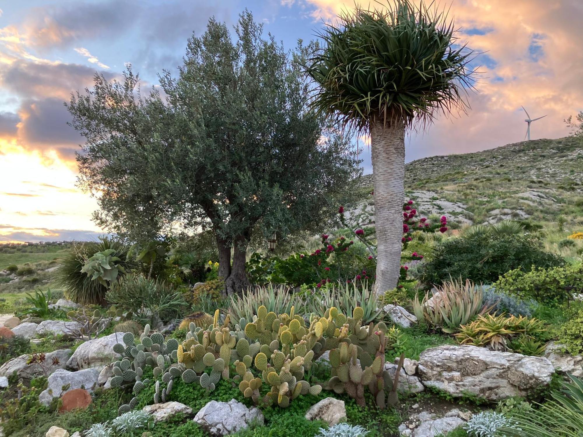 Agriturismo Casa Balata Realmonte Bagian luar foto